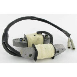 Generatoriaus statorius 12V - 12A 31630Z0A811