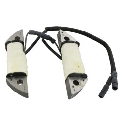 Generatoriaus statorius 31630ZF1801