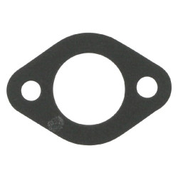 Oro įsiurbimo tarpinė 17228Z0DV01