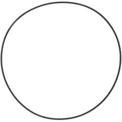 Žiedas, korpuso sandariklis 78112954003