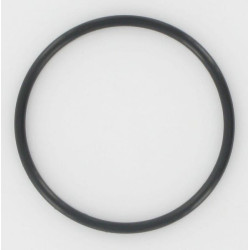 O formos žiedas 91301ZG3000