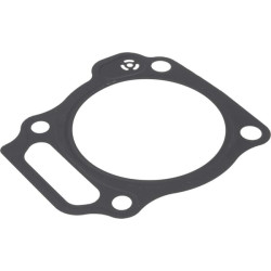 Cilindro galvutės tarpinė 12251Z1CR61