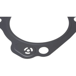 Cilindro galvutės tarpinė 12251Z1CR61