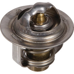 Termostatas 19310ZA0701