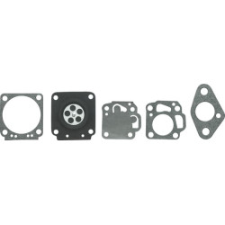 Membranų rinkinys FGP454883