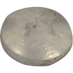 Welch kištukas Walbro 5/32 FGP012293