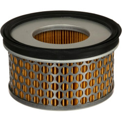 Oro filtro įdėklas AGW419011