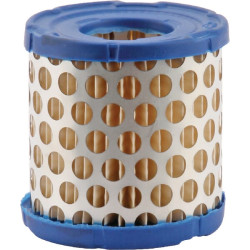 Oro filtro įdėklas AGW59970