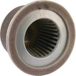 Oro filtro įdėklas AGW74900