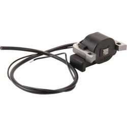 Uždegimo ritė, Agria AGW60805