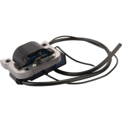 Uždegimo ritė, Agria AGW60805