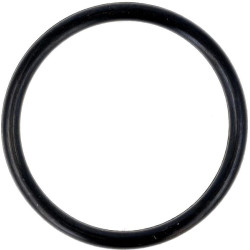 O formos žiedas 02156