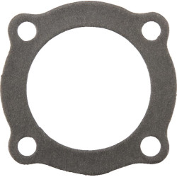 Cilindro galvutės tarpinė AGW10253