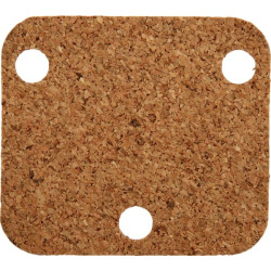 FR sandariklis AGW56456