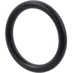 O formos sandarinimo žiedas AGW73661