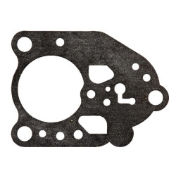 Karbiuratoriaus sandariklis AGW60167