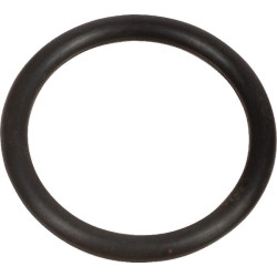 O formos sandarinimo žiedas 20x2,5 AGW39350