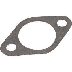 Sandariklis AGW46288