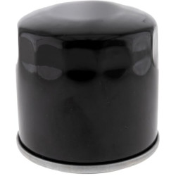 Antrinis alyvos filtras 418138