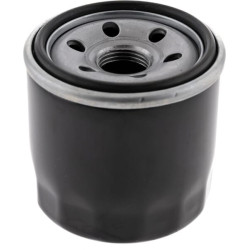 Antrinis alyvos filtras 418138