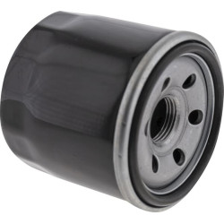 Antrinis alyvos filtras 418138