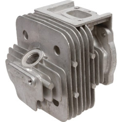 Cilindro galvutė AK463230