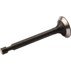 Įleidimo/išleidimo vožtuvas AK411873