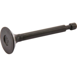 Įleidimo/išleidimo vožtuvas AK411873