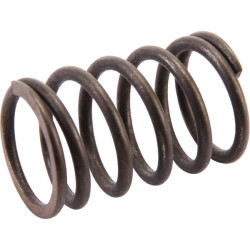 Vožtuvo spyruoklė AK455244