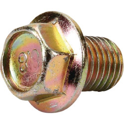 Dubens plūdės varžtas AK455220