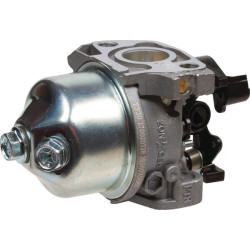 Karbiuratorius AK411907