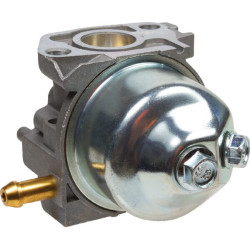 Karbiuratorius AK411907