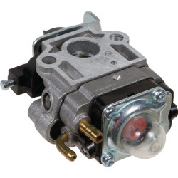 Karbiuratorius AK411747