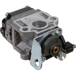 Karbiuratorius AK411747