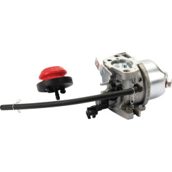 Karbiuratorius AK412430