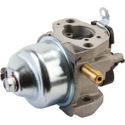 Karbiuratorius AK411923