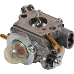 Karbiuratorius 417378