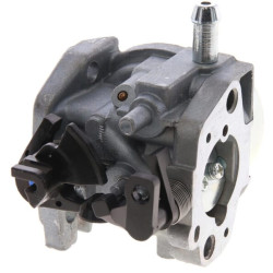 Karbiuratorius 418794