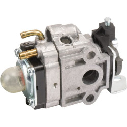 Karbiuratorius AK412255