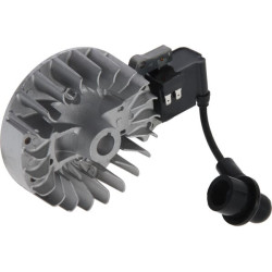 Uždegimo ritės mazgas 412516