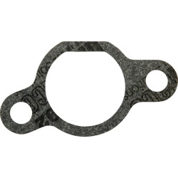 Karbiuratoriaus flanšo tarpinė AK455233