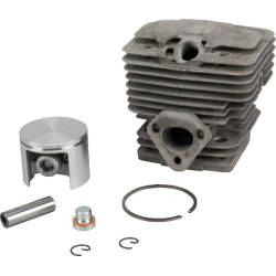 Cilindras su stūmokliu. Ø45 mm 3L85409702