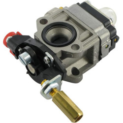 Karbiuratorius, WYJ-309, Alpina ALP4353290