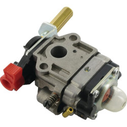 Karbiuratorius, WYJ-309, Alpina ALP4353290