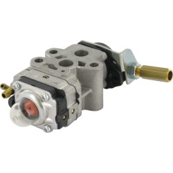 Karbiuratorius ALP1230540230