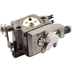 Karbiuratorius ALP4253650