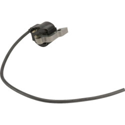 Uždegimo ritė, Alpina ALP3211015