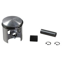 Stūmokliai Ø59.94 E10494ASM