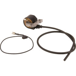 Uždegimo ritė, AS-Motor G00180066