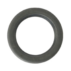 Alyvos sandariklis 15x21x3 E04317ASM